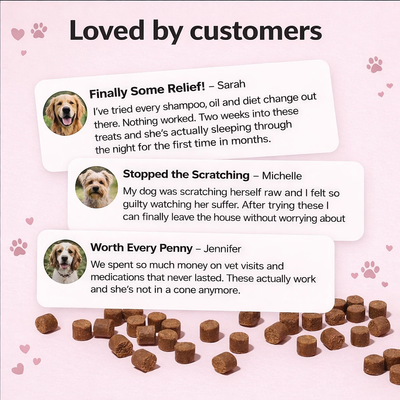 Bevia CalmPaw chewable anti-itch treats for dogs, featuring Atlas shipping protection, displayed in a natural setting.